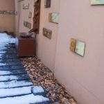 Patio carlosv argentina